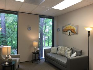 An empty counseling room. A single chair facing an empty sofa. A beautiful view of trees out the window.
