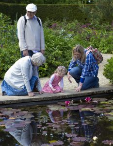 A mother, her young daughter, and a grandmother kneel down to look at a pond covered in Lilly pads. The young girl's other grandparent stands behind the group. 